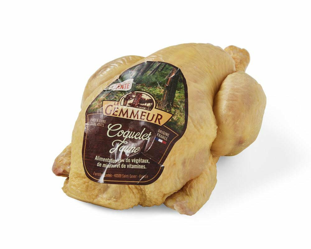 Coquelet jaune (± 600 g)