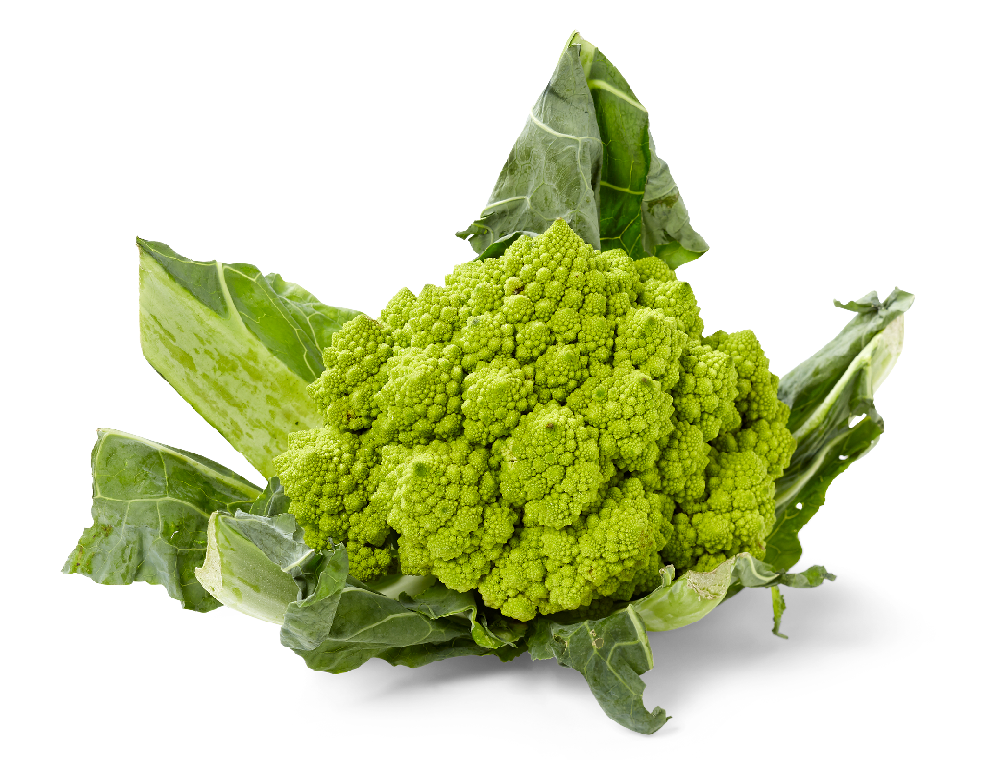 Romanesco
