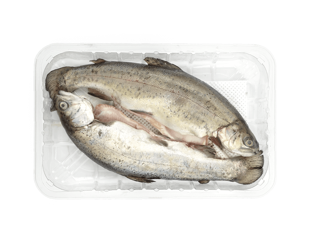 Spar truites (2 x ± 200 g)